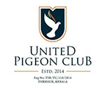 United Pigeon Club